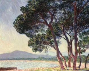 Het strand van Juan-les-Pins